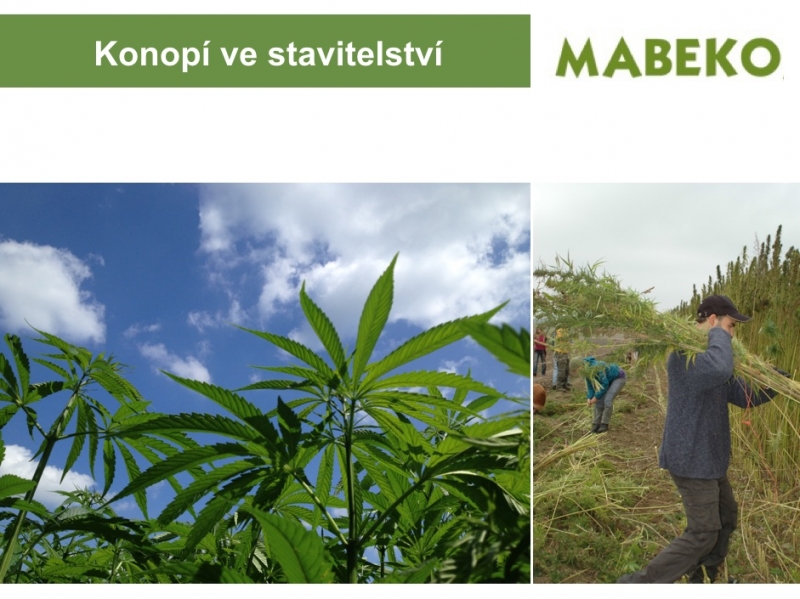 Konopí ve stavitelství