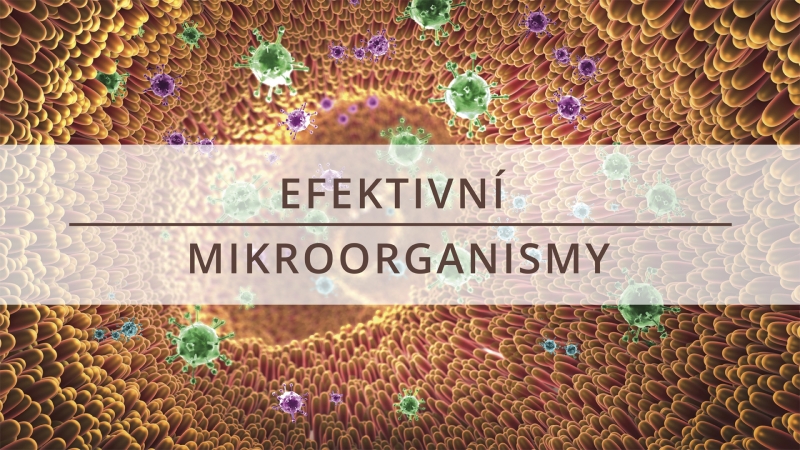 Efektivní mikroorganismy